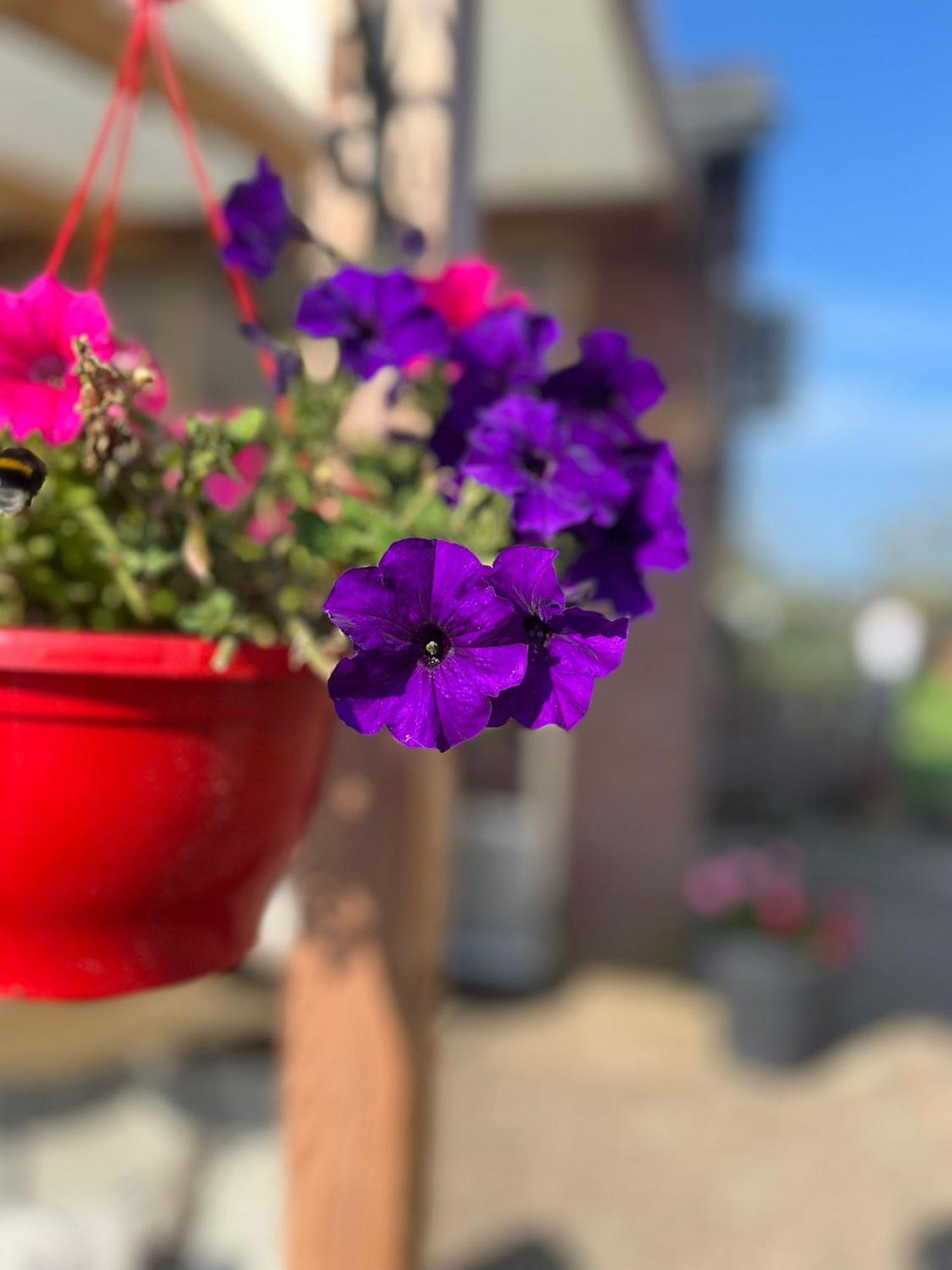 B&B Het Gelders Buitenleven Overasselt Dış mekan fotoğraf