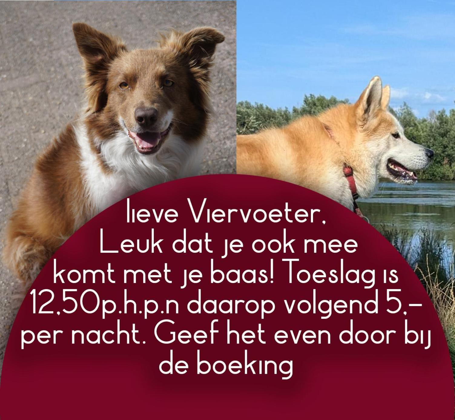 B&B Het Gelders Buitenleven Overasselt Dış mekan fotoğraf